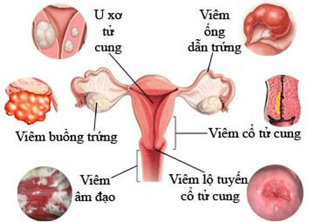 NHÀ THUỐC TÂM ĐỨC 